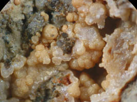 koninckite-photo & coll JDV